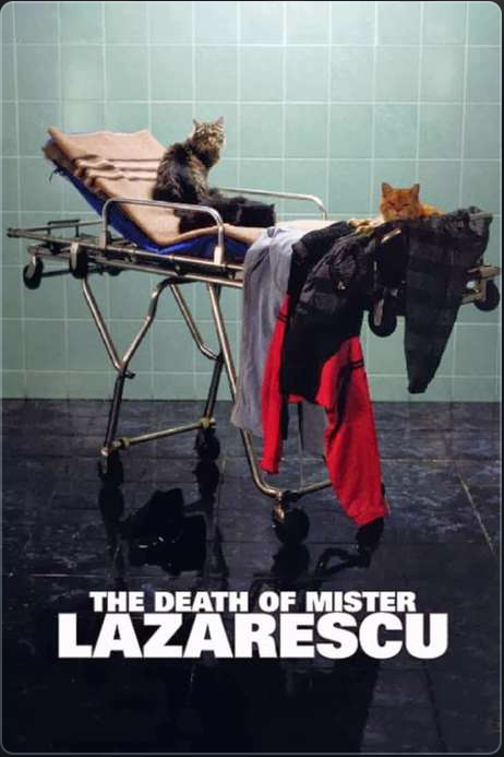 Hidden Gem: The Death of Mr. Lazarescu — The Algorithm Will Never Suggest This
